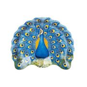 Тарелка сервировочная 24,5*19,5*2см ПАВЛИН серия HAPPY DAY